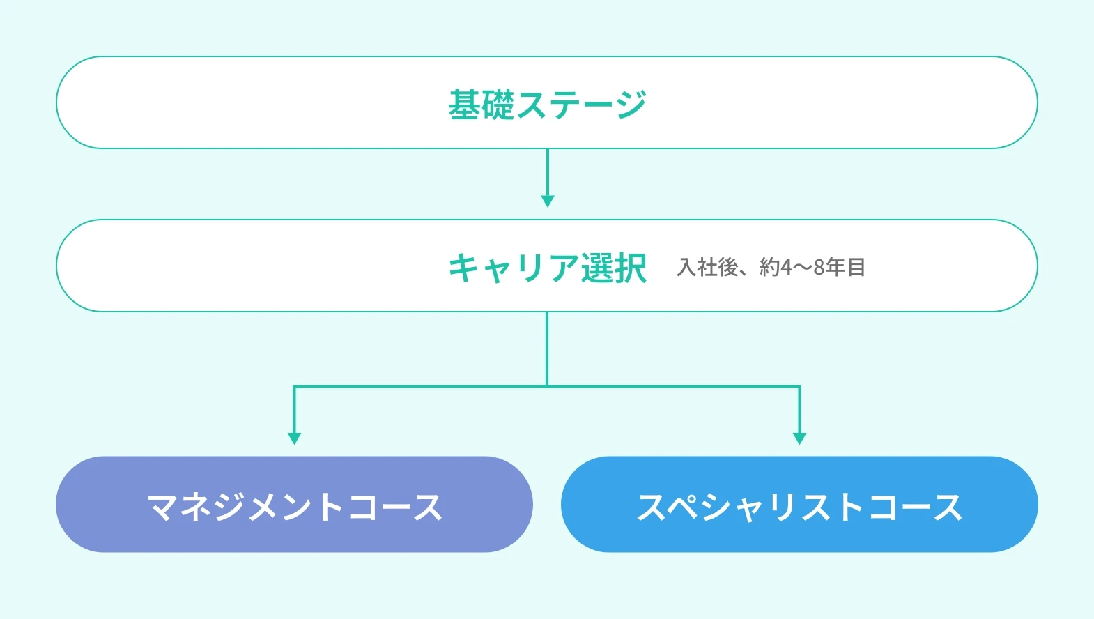 キャリアパス図